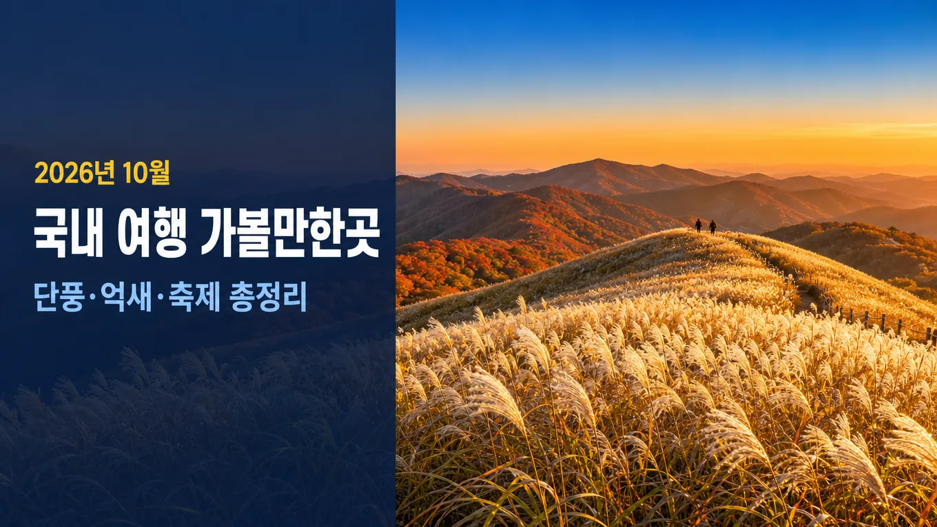 10월 국내 여행 가볼만한곳 12곳, 단풍·억새·축제 일정 총정리의 핵심 내용을 보여주는 가로형 대표 이미지