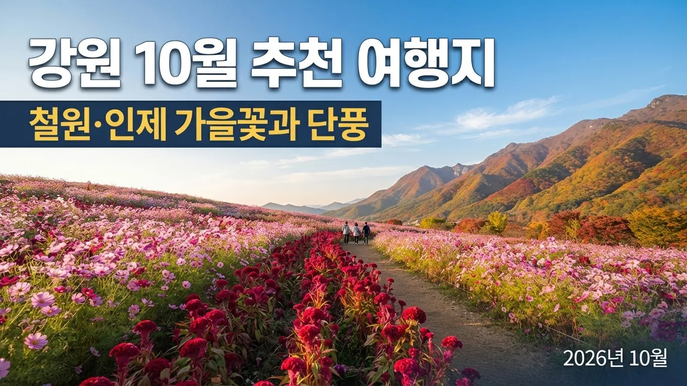 강원 10월 추천 여행지 철원·인제, 가을꽃과 단풍 코스 총정리의 핵심 내용을 보여주는 가로형 대표 이미지