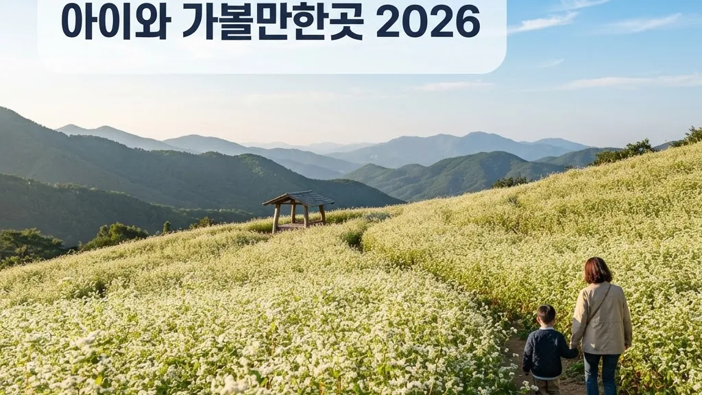 청주 추정골 메밀밭 아이와 가볼만한곳, 2026 축제 마감 전 총정리의 핵심 내용을 보여주는 가로형 대표 이미지