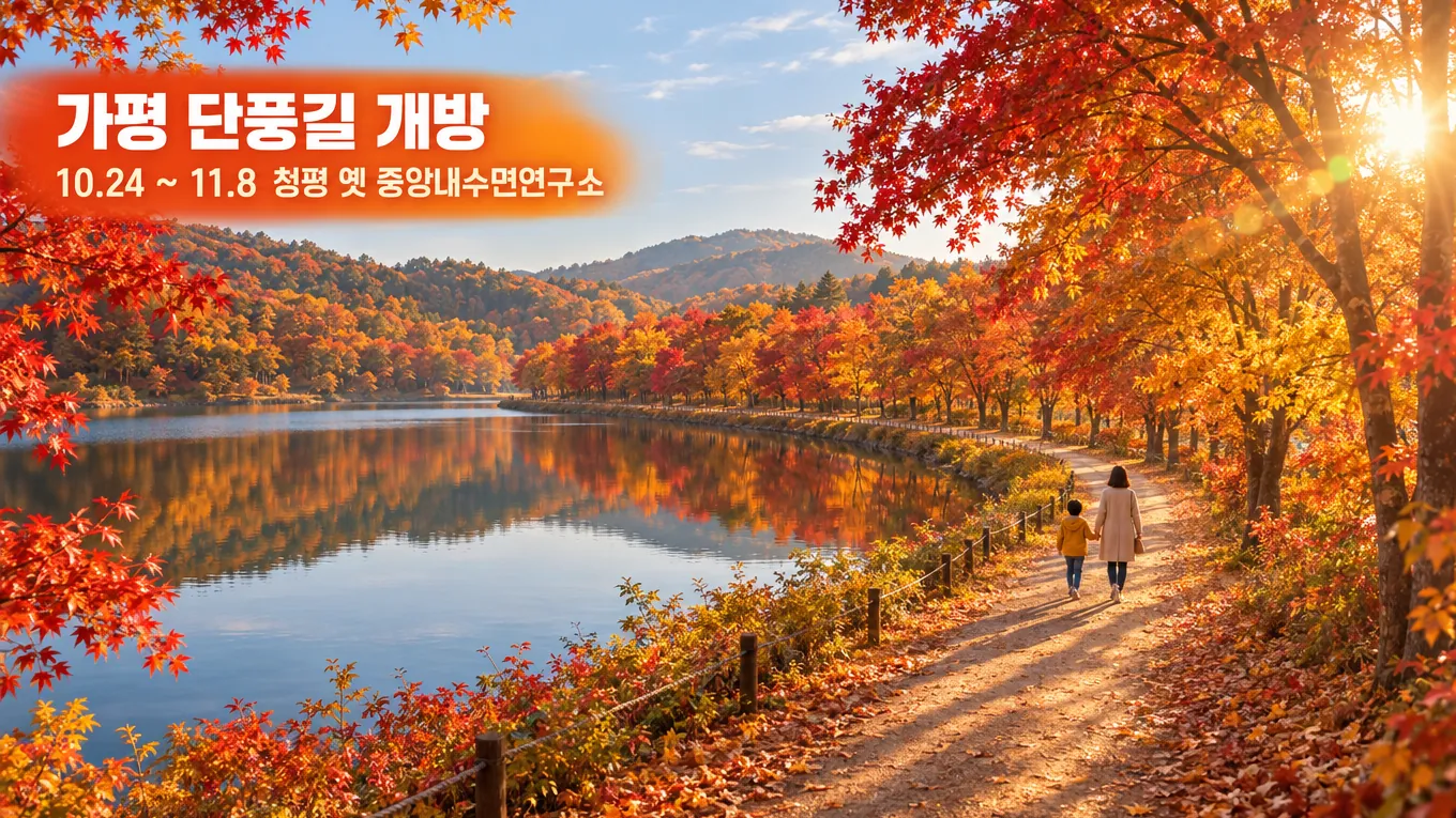 가평 단풍길 개방, 청평 옛 중앙내수면연구소 10월 24일부터 16일간 열려요의 핵심 내용을 보여주는 가로형 대표 이미지