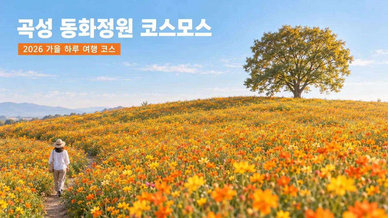 곡성 동화정원 코스모스 여행 코스 추천, 2026 가을 황화코스모스 하루 코스의 핵심 내용을 보여주는 가로형 대표 이미지