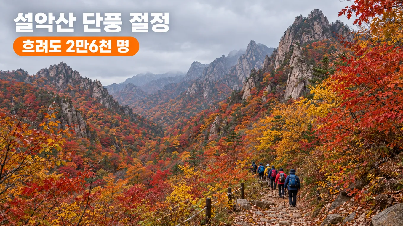 설악산 단풍 절정, 흐려도 2만6천 명이 몰린 이유와 지금 가도 될까의 핵심 내용을 보여주는 가로형 대표 이미지